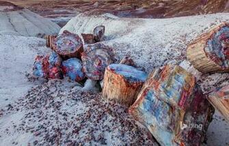 Wallpaper Arizona Petrified Forest National Park Wood