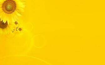 Yellow Flowers Desktop Background Wallpaper High