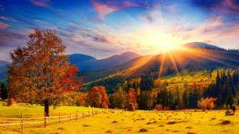 Fall Wallpaper