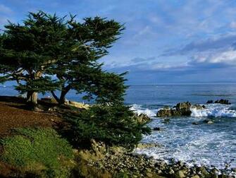 Pacific Grove California Image