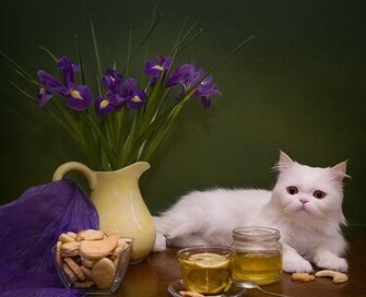 Still Life Wallpaper