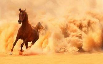 Running Horses Wallpaper Image