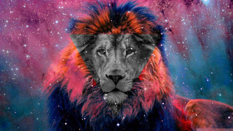 Lion Galaxy Sky Art 0twata9rrn9t9hm5 Wallpaper