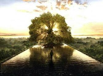 Water Trees Life Magazine Fountains Reflections Fountain Tree HD