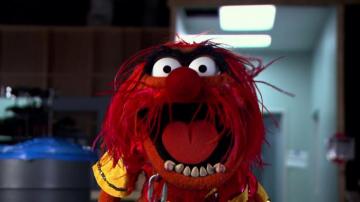 Muppets Animal Muppet Band For Your