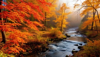 Autumn Wallpaper