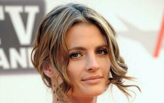 Stana Katic Widescreen Wallpaper