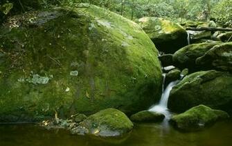 Roaring Fork Great Smoky Mountains National Park Wallpaper