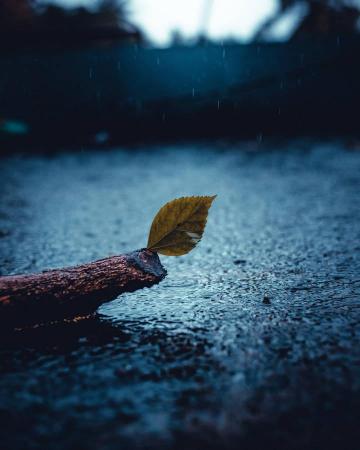 Sad Wallpaper