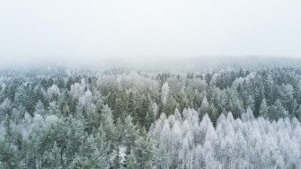 Winter Wallpaper HD Hq