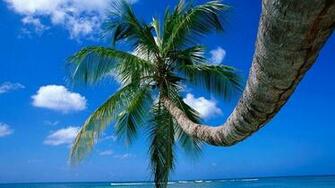 Tropical Paradise High Quality And Resolution Wallpaper