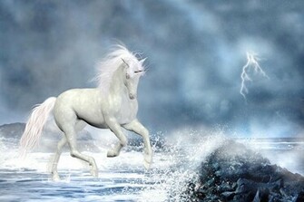 White Unicorns HD Wallpaper Hivewallpaper