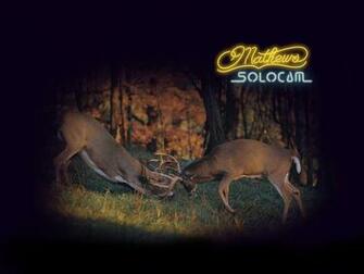 Best Mathews Wallpaper Austin