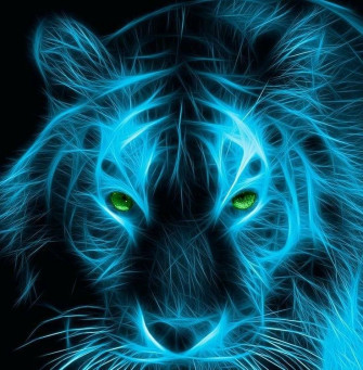 Funny Tigers