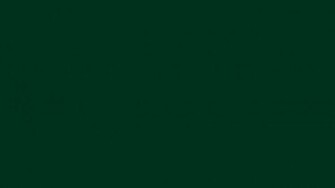 Resolution Dark Green Solid Color Background And