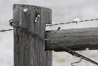 Frost On Fence HD Photo By Michael Hoyt Thephotohiker