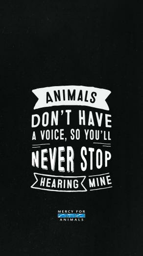 These Vegan iPhone Wallpaper Will Inspire You Chooseveg