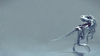 Dinosaur Skeleton Wallpaper And Image Pictures Photos