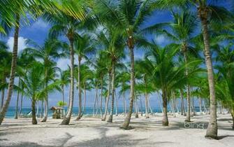 Fonds D Cran Punta Cana Tous Les Wallpaper