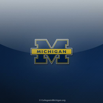 Free download Michigan Wolverines HD iPad Wallpaper by hp31308 [894x894 ...