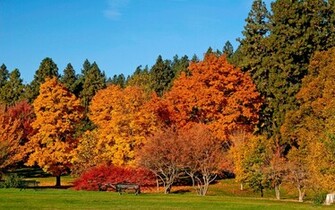 Fall Colors Wallpaper Background With Resolutions Pixel