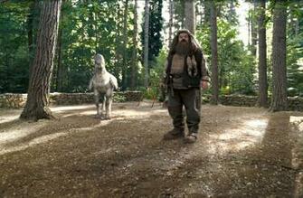 Buckbeak Pottermore