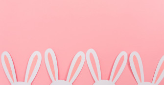 Photos With The Bunny Visit Harrisonburg Virginia In