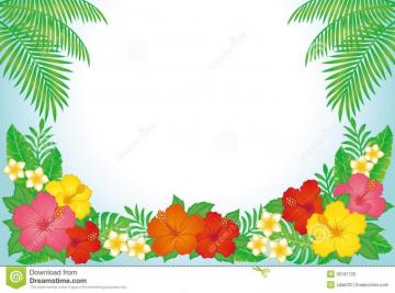Best Hawaiian Luau Wallpaper Beach