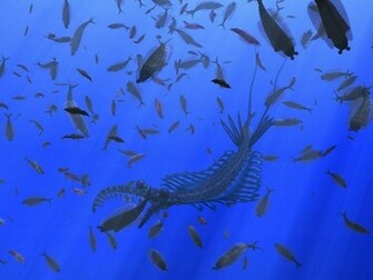 Fish Creatures Prehistoric Water Ocean