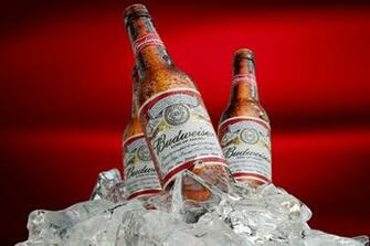 Budweiser HD Wallpaper Background