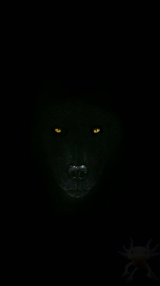 Cool Black Wolf Background Wallpaper