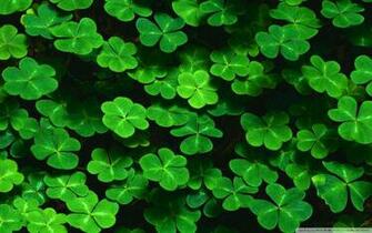 St Paddy S Celebrations At Cuddy Jd Mcgillicuddy