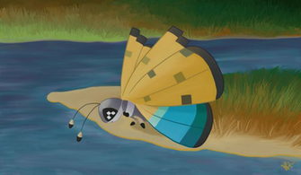 River Vivillon Pok Mon Know Your Meme