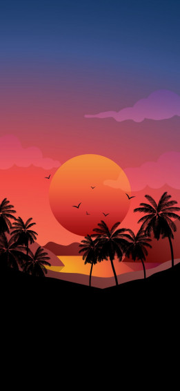 iPhone Wallpaper 4k Aesthetic Sunset Tree