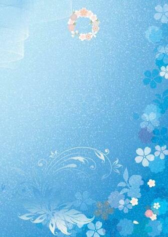 Wallpaper Decorating Ideas Texture Western Themed