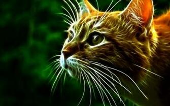 3d Comes With Fire Cats Wallpaper