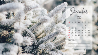 Desktop Background December A Dash Of Kam