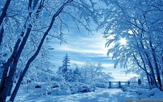 Wallpaper Spot Beautiful Winter Beauty Of