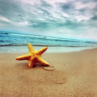 Beach Storm iPad Wallpaper To