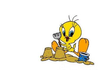 High Definition Wallpaper Photo Tweety Html