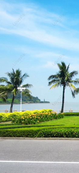 Mobile Phone Wallpaper By The Sea In Summer Image