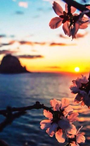 Sunset Of Ibiza Beautiful Wallpaper Background Pictures