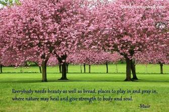 Quotes About Beauty In Nature Image Quote
