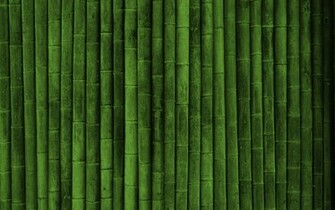 Bamboo Desktop Pc And Mac Wallpaper