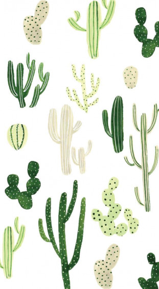 Cactus iPhone Wallpaper