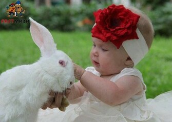 Sweet And Cute Babies HD Wallpaper Fashion Weeks Wedding Wears