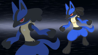 Lucario Wallpaper By Elsdrake