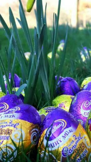 Easter Eggs Ideas iPhone HD Wallpaper
