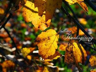 Holiday With Original Thanksgiving Wallpaper Designed By Kate Net