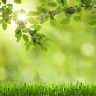 Spring Green iPad Wallpaper Retina HD